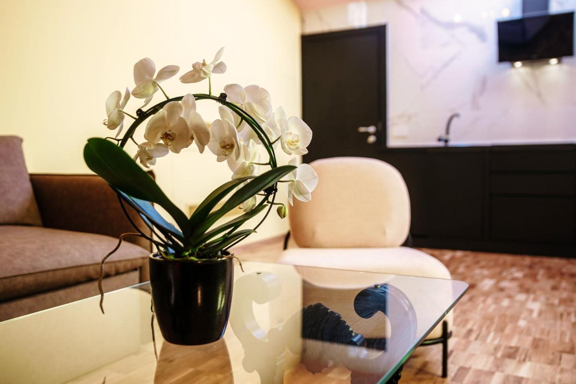 Vitrum - Como Luxury Suites Zimmer foto